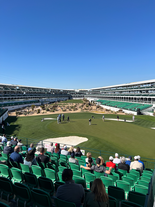 BestBall - PGA Tour Hole of the Week - Arizona - Waste Management Phoenix Open