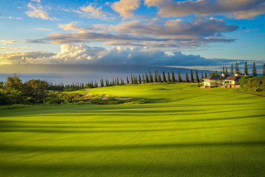 BestBall - PGA Tour Hole of the Week - Hawaii - Sentry Tournament of Champions - Kapalua Golf - Plantation Course