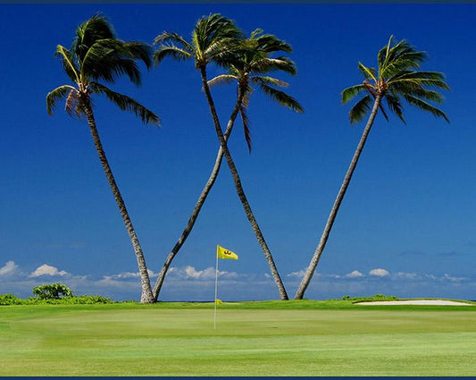 BestBall - PGA Tour Hole of the Week - Hawaii - Sony Open - Waialae Country Club