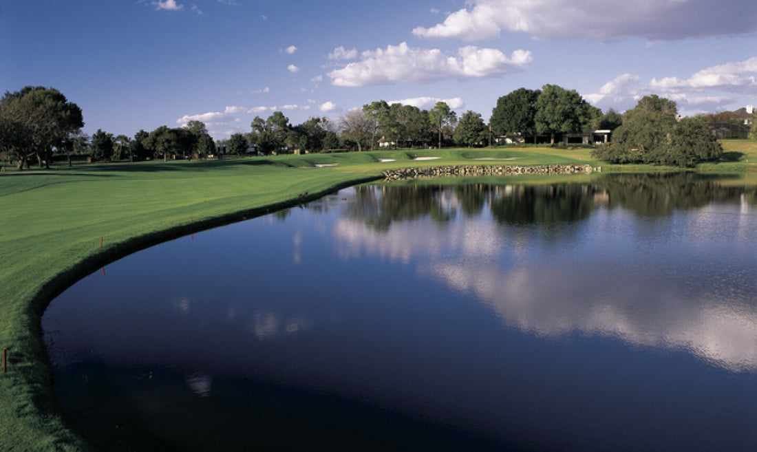 BestBall - PGA Tour Hole of the Week - Florida - The Arnold Palmer invitational